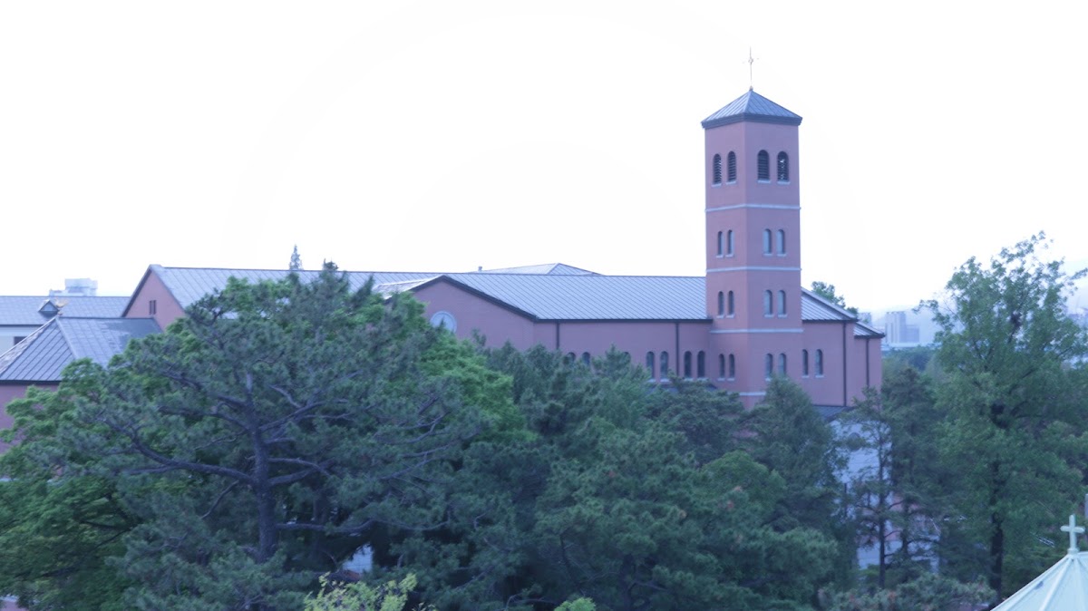 The Abbey