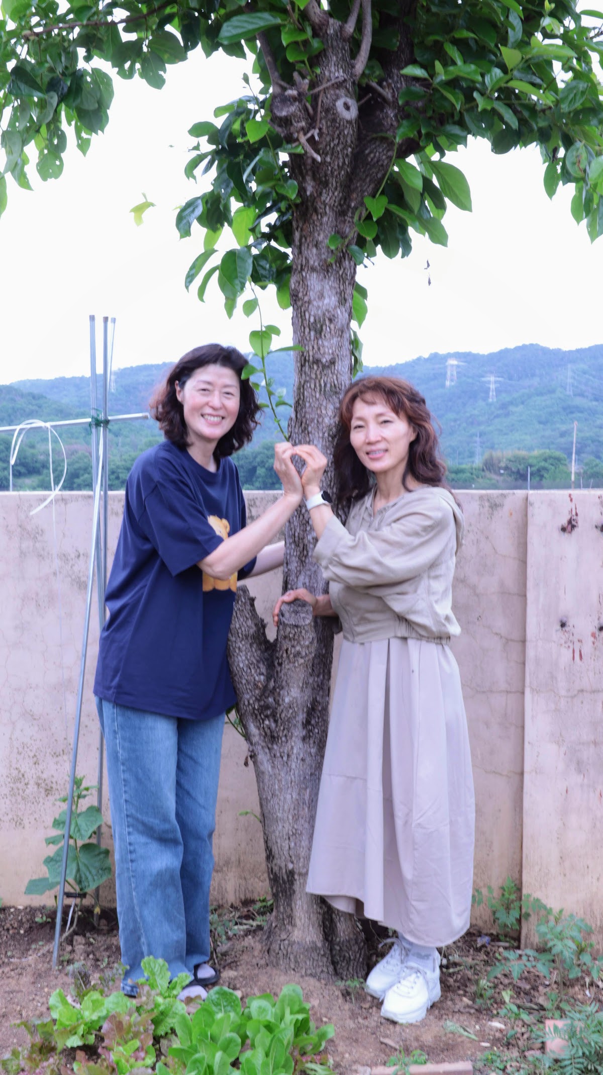 가족 사진