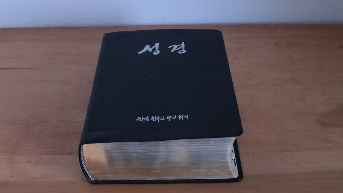 가족 사진